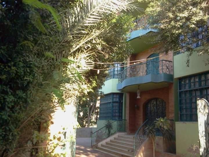 Richard Pyramids Inn Hotel Kafret el-Gabal エクステリア 写真
